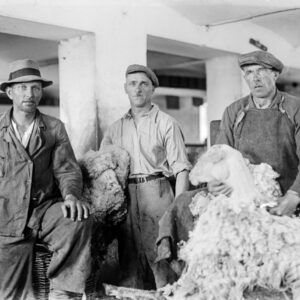 Strzyżenie owiec w Skałach (dziś przysiółek Oleszki). Skały, około 1930 r.